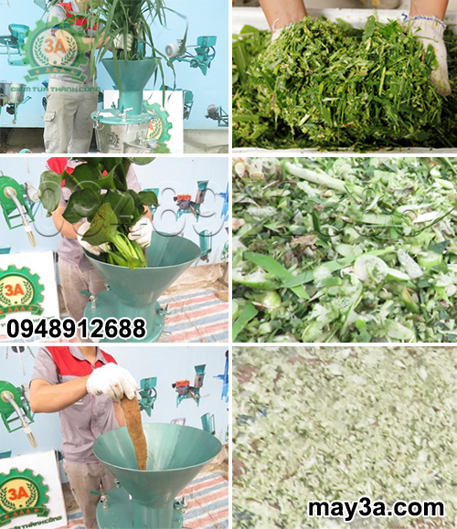 Máy chế biến thức ăn chăn nuôi đa năng 3A1,5Kw có khả năng băm nhỏ các nguyên liệu nhanh chóng, dễ dàng