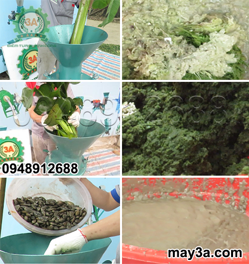 Nguyên liệu được nhiền nát nhuyễn bằng Máy chế biến thức ăn chăn nuôi đa năng 3A1,5Kw