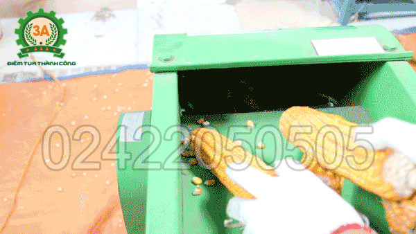 Nguyên liệu đầu vào của Máy tách hạt ngô kiểu đứng 3A2,2Kw