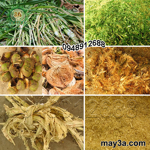 Cỏ voi, vỏ dừa, bã mía được băm nhỏ với Máy băm nghiền ngô, vỏ dừa, rơm rạ 3A3Kw