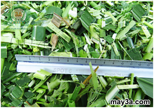 Nguyên liệu sau khi băm có độ dài từ 1cm đến 5cm