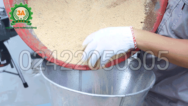 Cho cám đã phối trộn vào phễu nạp nguyên liệu