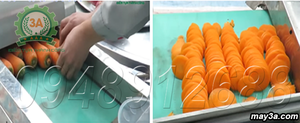 Thái lát cà rốt bằng máy thái rau, củ, quả 3A2,2Kw có băng tải