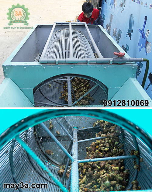 Kỹ thuật viên đang vận hành Máy rửa củ nghệ 3A2,2Kw