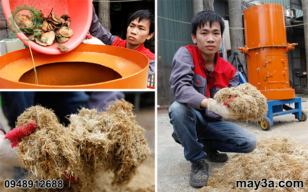 Kỹ thuật viên băm vỏ dừa tươi bằng Máy băm phế phẩm nông nghiệp 3A11Kw