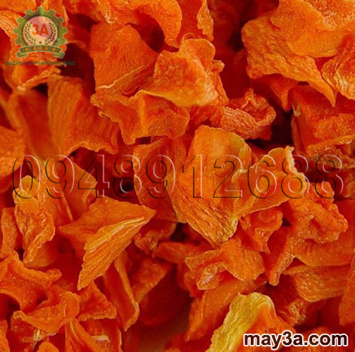 Cà rốt sấy bằng Máy sấy khô nông sản 3A 18 ngăn