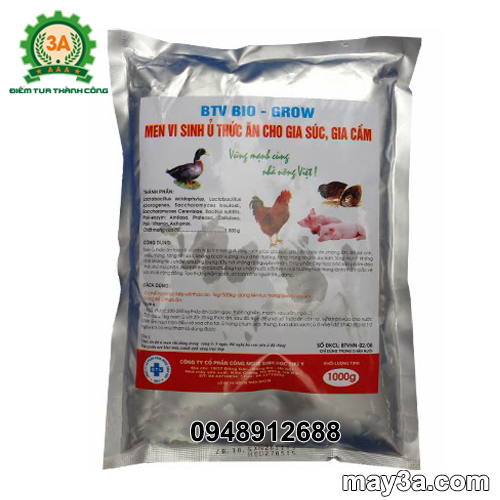 Lên men thức ăn chăn nuôi bằng men vi sinh btv 01