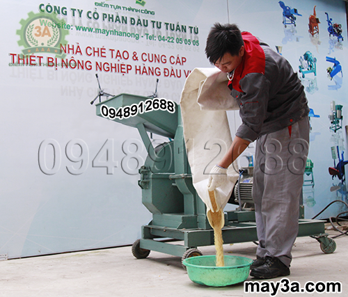 Kỹ thuật viên thu lấy cám ngô sau khi nghiền bằng Máy nghiền ngô 3A S7,5Kw