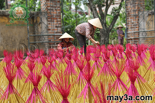 Trước khi sử dụng Máy sấy hương 3A, bà con phải phơi hương thủ công dưới nắng