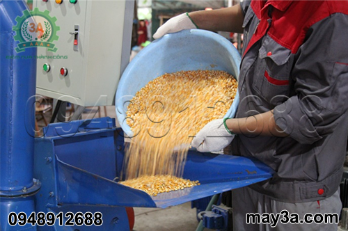 Kỹ thuật viên nghiền ngô hạt bằng Máy băm ván bóc, vỏ dừa, gỗ tạp 3A22Kw