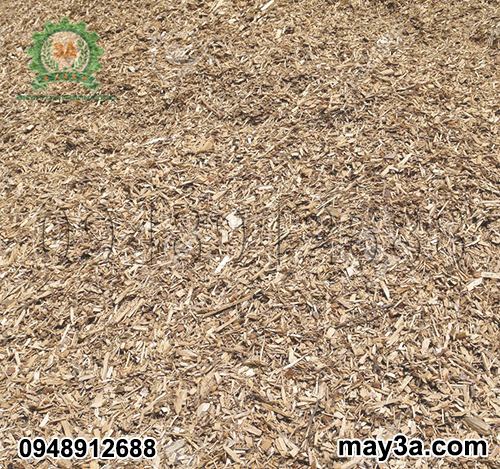 Sản phẩm dăm gỗ của Máy băm ván bóc 3A11Kw