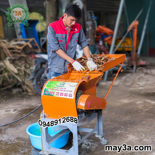 Kĩ thuật viên sử dụng Máy nghiền nghệ 3A3Kw
