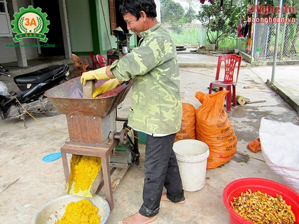 Máy nghiền nghệ - sản phẩm giúp bà con làm giàu từ sản xuất tinh nghệ