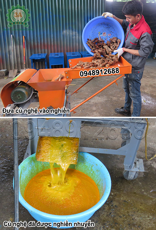 Củ nghệ được nghiền nhuyễn bởi Máy nghiền nghệ 3A3Kw