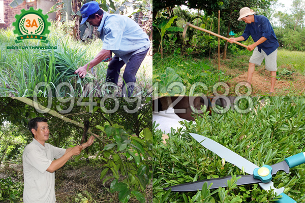 Công việc làm vườn tốn nhiều công sức, thời gian sẽ không còn là nỗi ám ảnh, nhờ Máy làm vườn nhiều tác dụng 3A