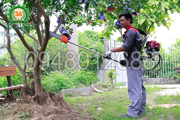 Kĩ thuật viên đang sử dụng máy làm vườn nhiều tác dụng 3A để cắt cành