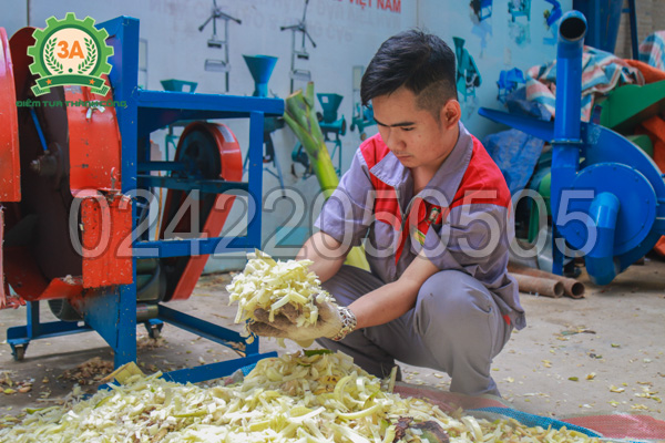 Máy băm chuối đa năng 3A2,2Kw giúp chuẩn bị thức ăn cho vật nuôi hiệu quả