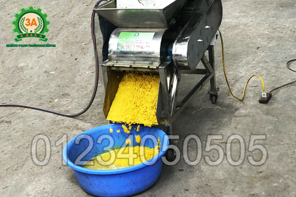 Nghệ được nghiền nhỏ nhuyễn bằng Máy nghiền nghệ 3A3Kw (Inox)