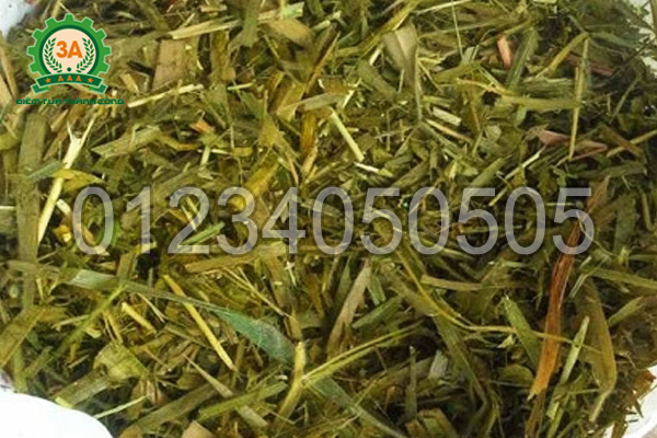 Túi ủ chua giúp giảm tối đa nguy cơ nguyên liệu bị nấm mốc