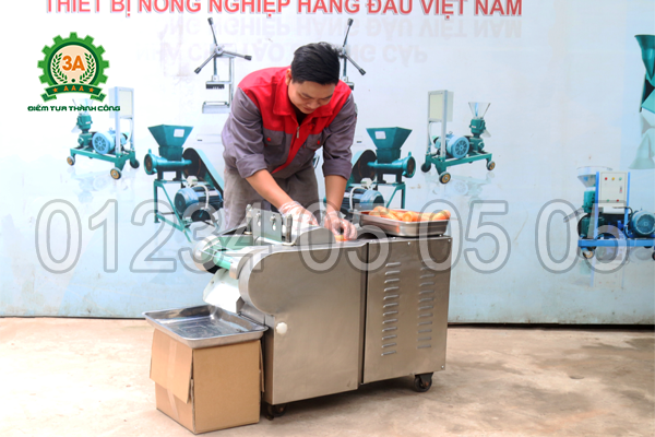 Máy thái rau, củ, quả 3A1,5Kw (loại băng tải) – trợ thủ đắc lực trong không gian bếp