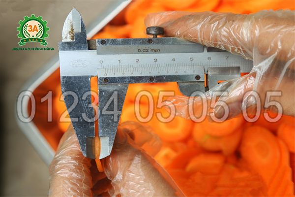 Máy thái rau củ quả 3A1,5Kw (loại băng tải) dễ dàng điều chỉnh kích cỡ sản phẩm