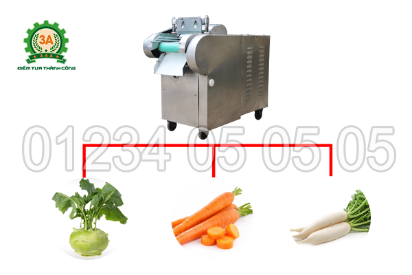Máy thái rau củ quả 3A1,5Kw (dạng băng tải) có khả năng thái được nhiều loại nguyên liệu