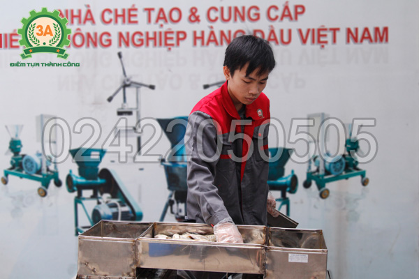 Kỹ thuật viên sử dụng Máy thái cá 2 đầu cắt 3A4Kw
