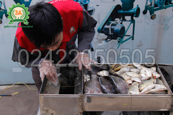 Khay chứa nguyên liệu của Máy thái cá 2 đầu cắt 3A4Kw