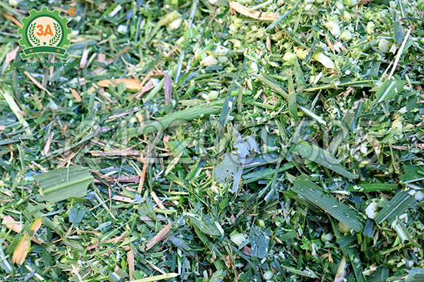 Rau cỏ được băm nhỏ bằng Máy băm nghiền đa năng 3A2,2Kw (Phễu vuông - Động cơ rời)