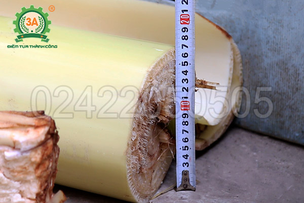 Máy băm chuối, nghiền ngô 3A1,5Kw (10)