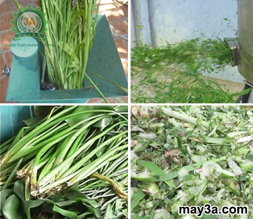 Nguyên liệu trước và sau khi được băm nhỏ bằng Máy chế biến thức ăn chăn nuôi gia súc, gia cầm 3A2,2Kw (phễu vuông)