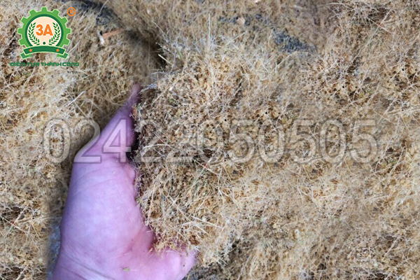 Sản phẩm xơ dừa của máy nghiền bèo, rơm, cỏ 3A11Kw