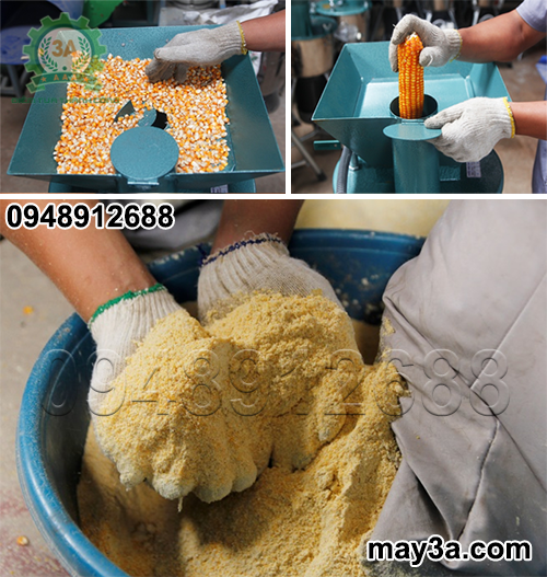 Ngô hạt, bắp ngô khô được nghiền thành cám bằng Máy chế biến thức ăn chăn nuôi gia súc, gia cầm 3A2,2Kw (phễu vuông)
