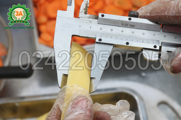 Máy cắt rau củ đa năng 3A2,2Kw có băng tải thái khoai tây lát dày