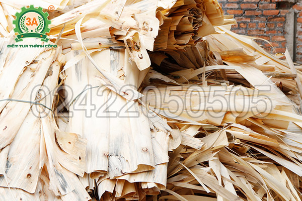 Ván gỗ bóc là nguyên liệu của máy nghiền vỏ dừa, gỗ tạp 3A24Hp
