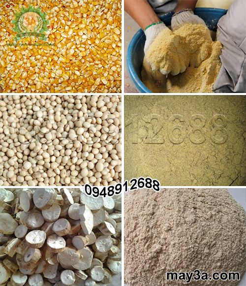 Ngô, đậu tương, sắn lát khô được nghiền thành cám bột bằng Máy băm nghiền đa năng 3A5,5Kw