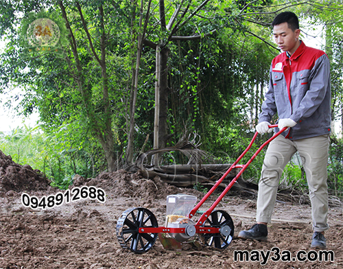 Kỹ thuật viên sử dụng Dụng cụ gieo hạt giống một hàng 3A (kiểu xe đẩy)