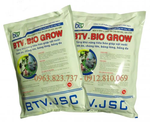 Bí quyết nuôi lợn thịt không dùng thuốc kháng sinh