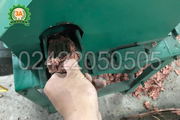 Đưa nguyên liệu vào cửa Máy thái thuốc bắc 3A3Kw