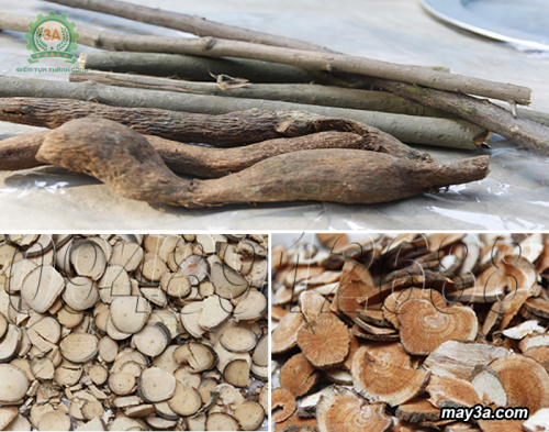 Nguyên liệu sau khi sử dụng Máy thái thuốc bắc 3A3KW