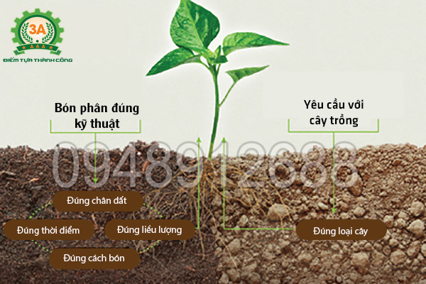 Dây chuyền ép viên phân: Yêu cầu khi bón phân đạt hiệu quả