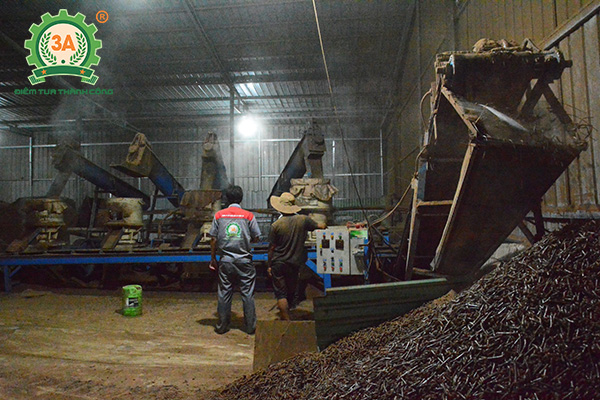 Xưởng sản xuất viên nén mùn cưa tại Bình Phước