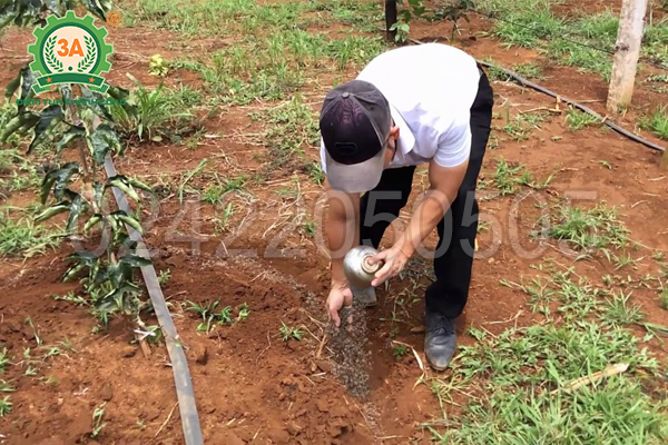 Dụng cụ bón phân 3A giúp công việc bón phân trở nên dễ dàng hơn