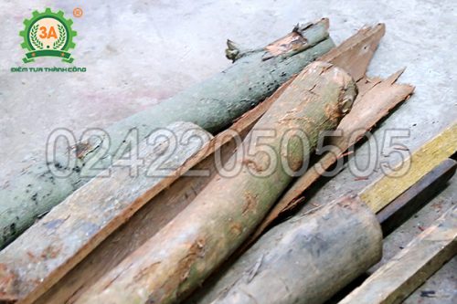 Máy băm gỗ, xơ dừa tươi 3A15Kw (06)