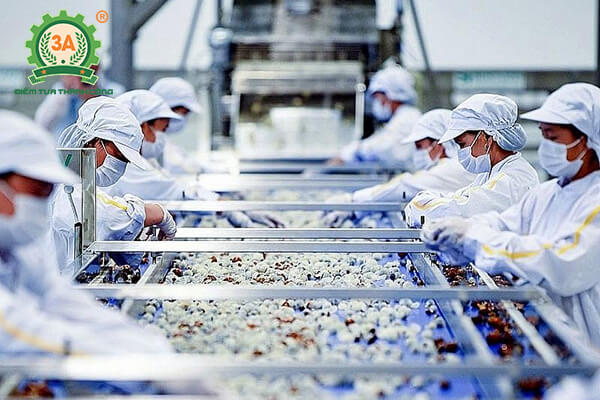 Cách đăng ký xuất khẩu sang Trung Quốc cho các doanh nghiệp sản xuất thực phẩm có nguồn gốc thực vật (02)