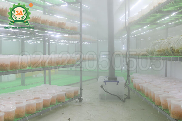 Máy phun sương tạo ẩm trồng đông trùng hạ thảo 3A510W (09)