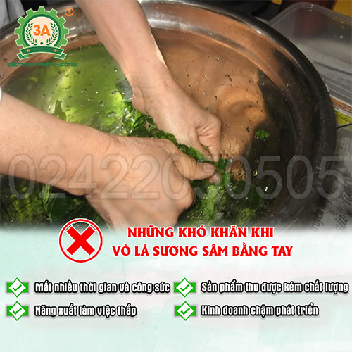 Những khó khăn khi xay lá sương sâm bằng tay