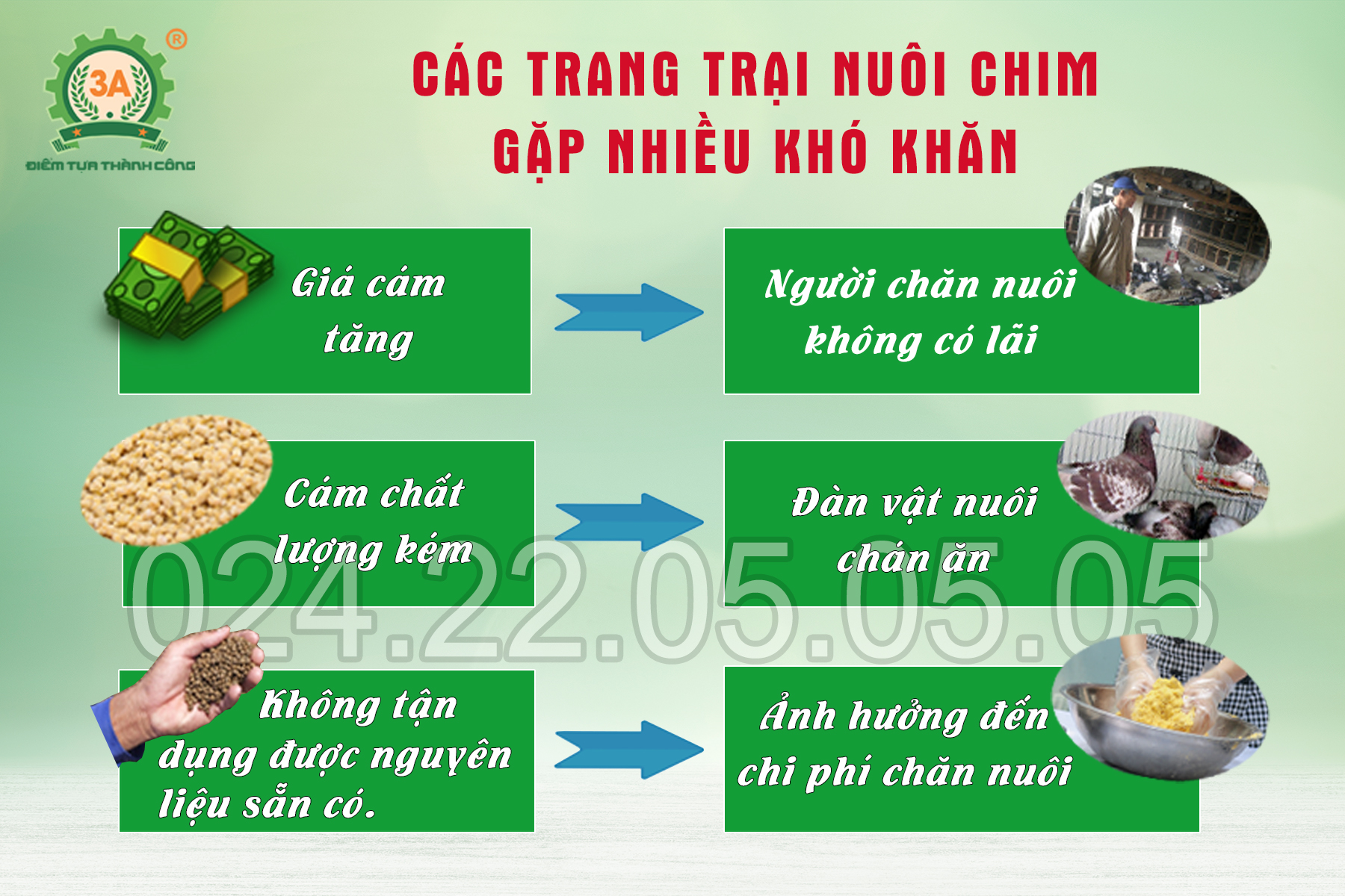 Khó khăn trong chăn nuôi chim