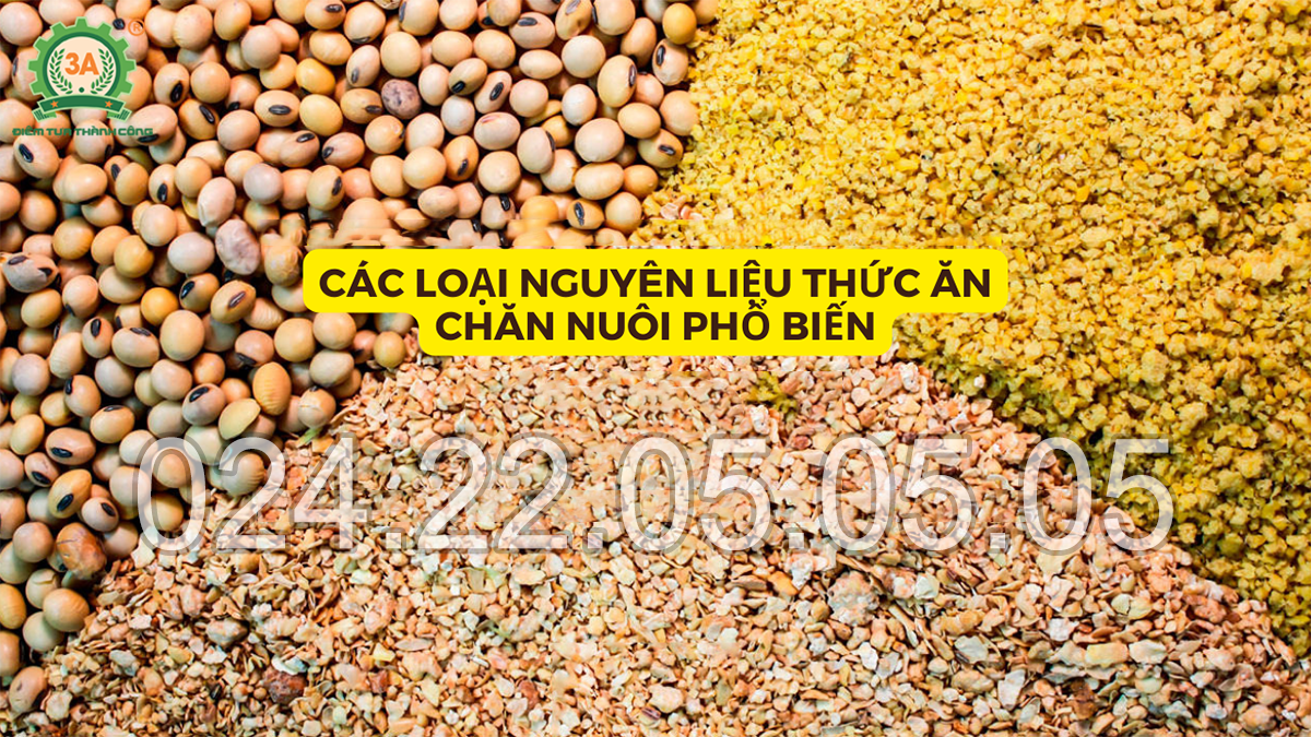 Các loại nguyên liệu chế biến thức ăn chăn nuôi