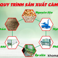 quy trình sản xất cám viên